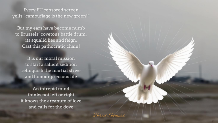 Poem: EU War